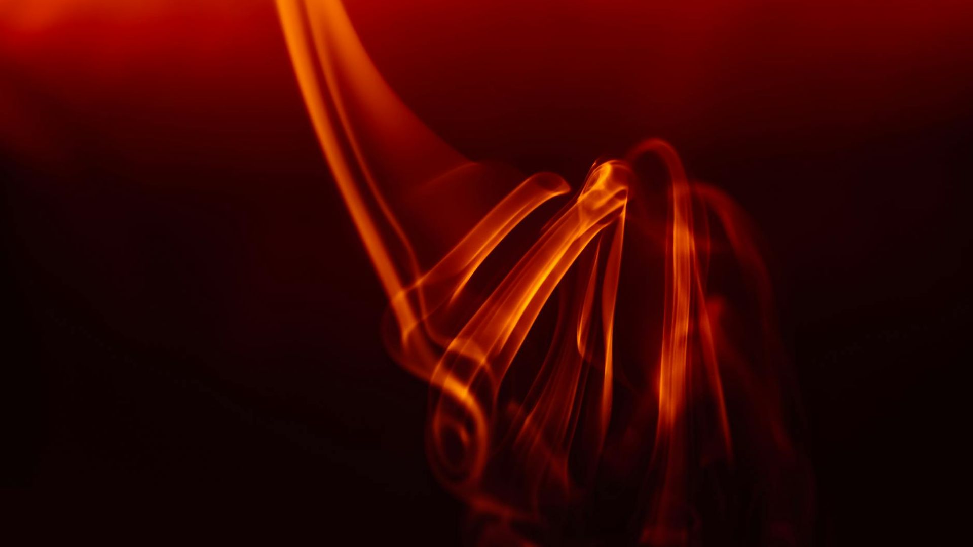 Abstract shapes suggesting fluid movement and rhythm.